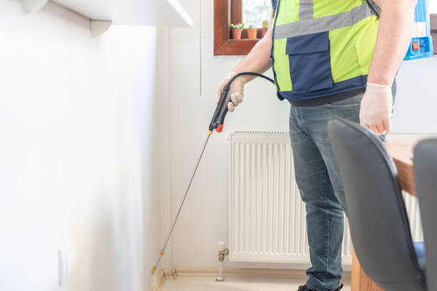Best Affordable Pest Control Services  in Easton, MD