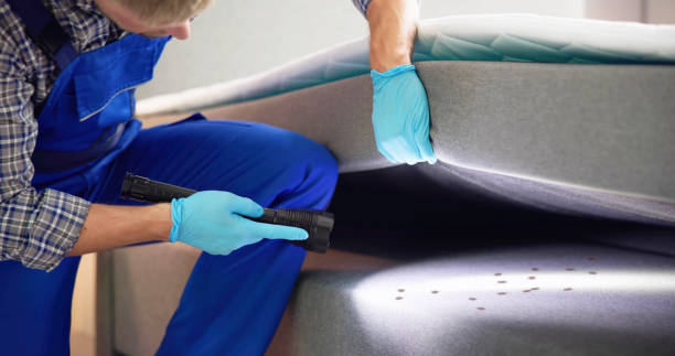Best Emergency Pest Control  in Easton, MD
