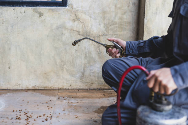 Best Best Pest Control Companies  in Easton, MD