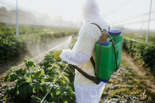 Best Pest Inspection Near Me  in Easton, MD